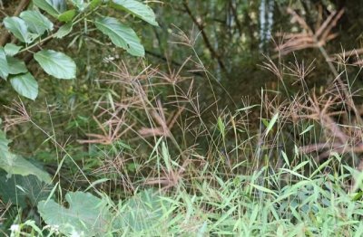 ​最火游戏网名排行名字