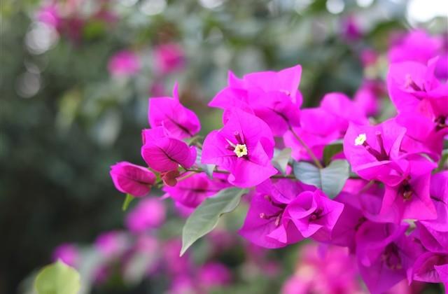 简洁的网名女 简洁的网名女