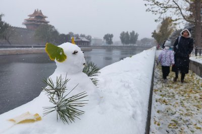 ​适合初雪告白的爱情句子
