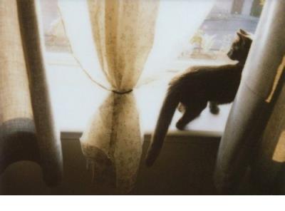 描写母爱父爱的唯美句子