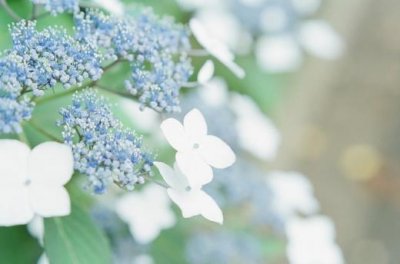 ​个人工作感悟句子