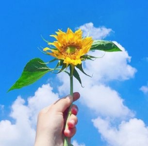 ​清晨意境很美的句子 ，温暖美好，沁人心脾！