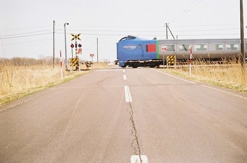 排比句要短的36句