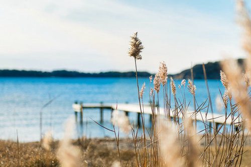 名侦探柯南精彩语录32句