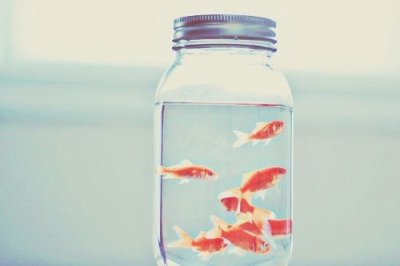 ​我想要两颗西柚经典句子32句