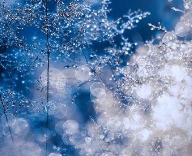 2025年简单的爱情语句汇编88条