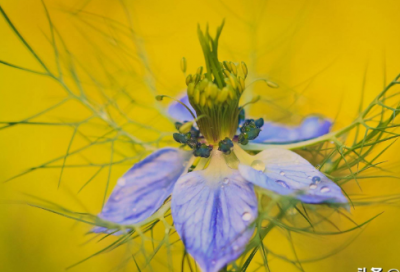 ​团购优惠的句子29句