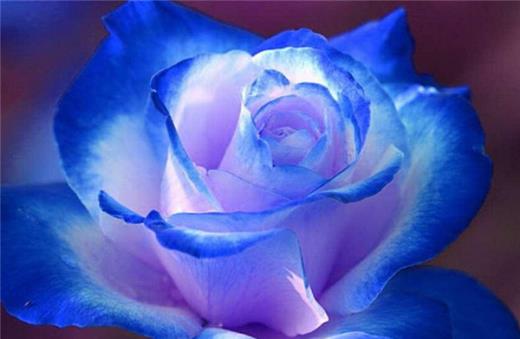 关于爱情的句子幸福