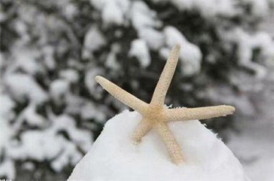 ​爱情宣言经典语录