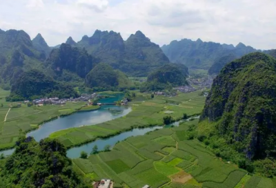 新芽冒出的唯美句子 关于嫩芽的唯美句子(精选8句)