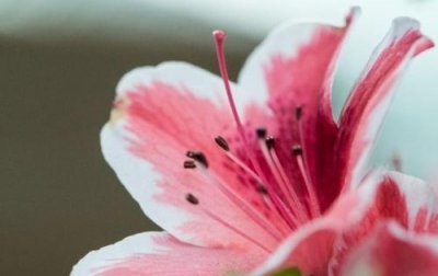 ​在爱情面前坚强的句子