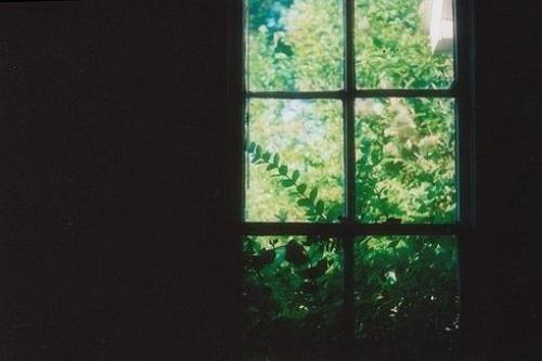 经典语录感动人心的话