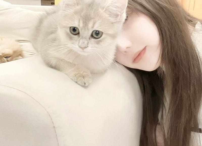 特别感动的情话 一段感动得要哭的情话