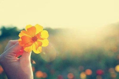 爱情精辟人生感悟句子