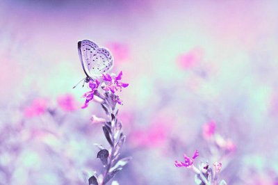 ​2026年七夕情人节句子大全(30句)