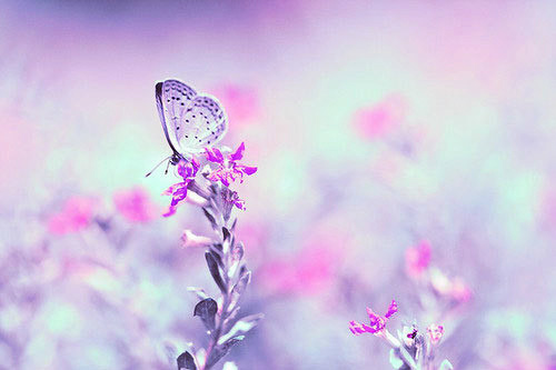 2026年七夕情人节句子大全(30句)