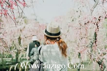 我的梦想中有一个是爱情，柔情似水