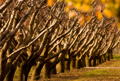 ​经典爱情个性签名短句（情感个性签名唯美句子）