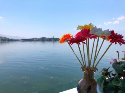 ​抖音上撩人的对话 抖音情话套路