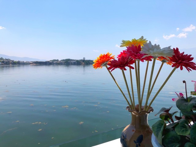 抖音上撩人的对话 抖音情话套路