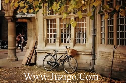 关于爱情的短句子幸福