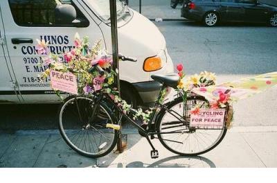 被你骗的人是愿意相信你的人