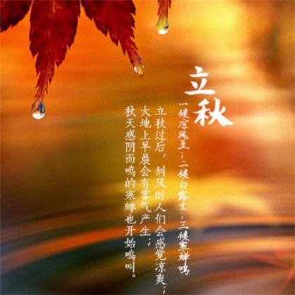 全世界最甜的情话甜到发生爆炸