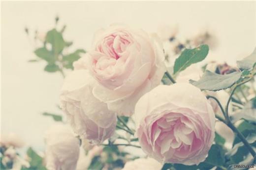 扣扣签名简单几个字