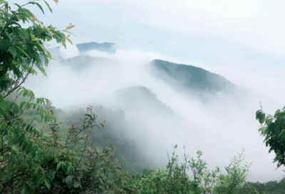 ​世界杯上惊天动地14句名言