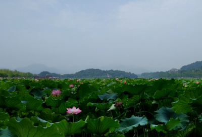 ​长津湖战役简介的资料及评价（朝鲜战争长津湖战役）