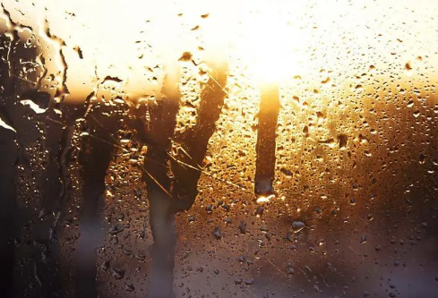 1711092847952171.png image.png