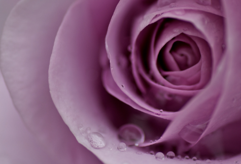 1711418516990103.png image.png