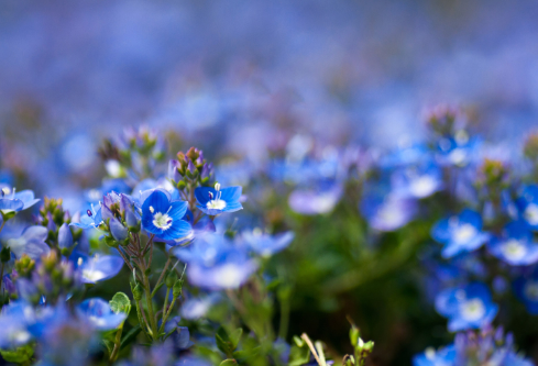 1711576581427668.png image.png